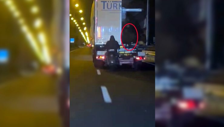 Koyun Hırsızları Kameralara Yakalandı