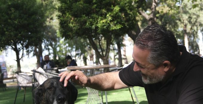 HAYVANLARIN SEVGİ DİLİ