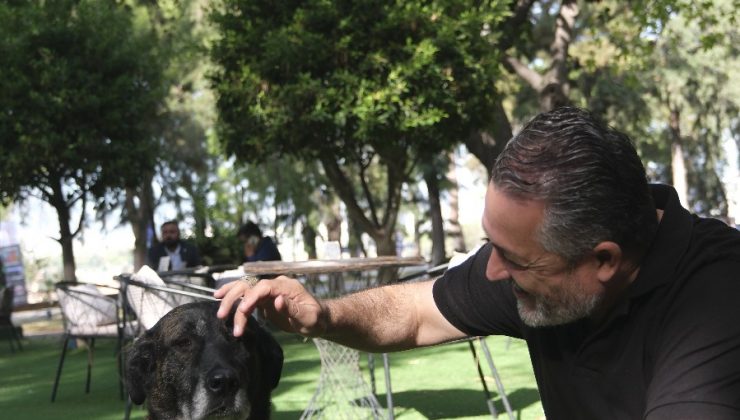 HAYVANLARIN SEVGİ DİLİ