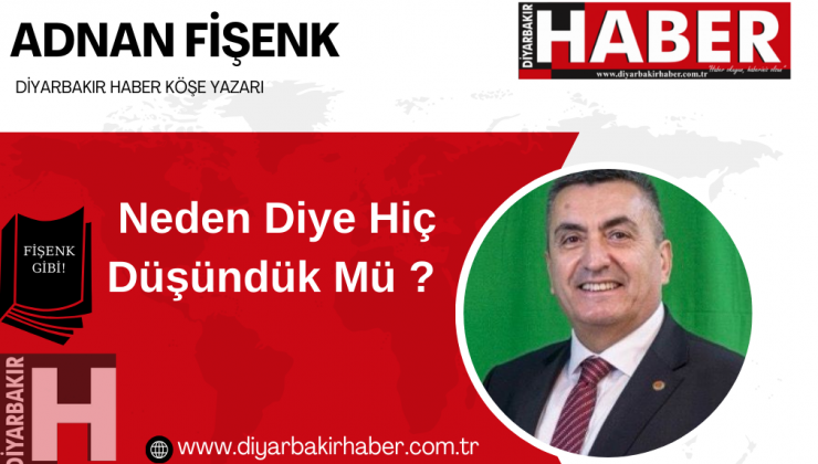 Neden Diye Hiç Düşündük Mü?