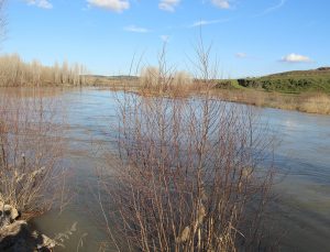 Dicle Nehri’nde Son Durum