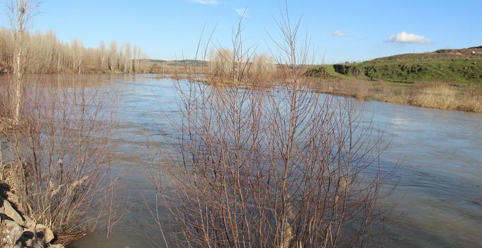 Dicle Nehri’nde Son Durum