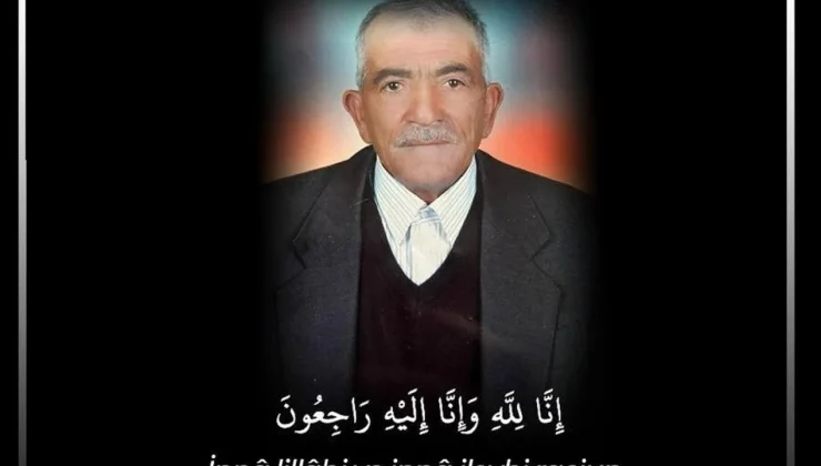 Erciş’te Bir Asırlık Çınara Veda: On Binler Tek Yürek Oldu