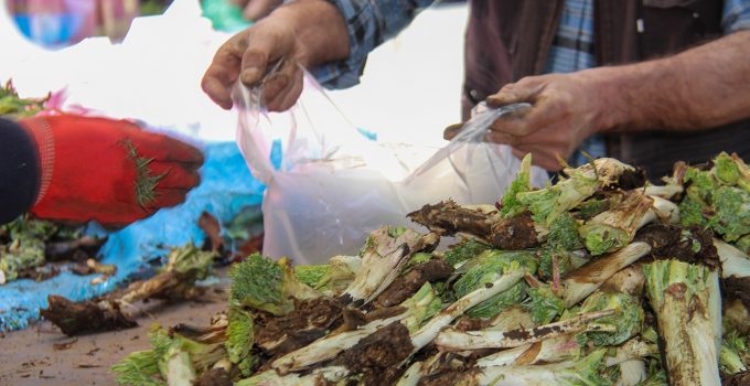 Kenger Fiyatları Cep Yakıyor