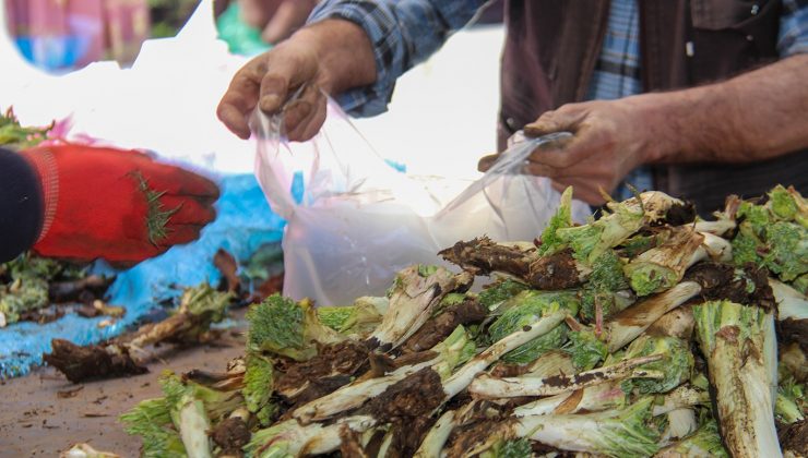 Kenger Fiyatları Cep Yakıyor