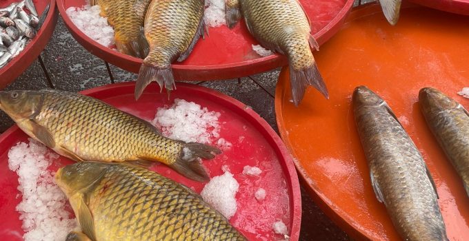 YASAK VAR AMA UYAN YOK