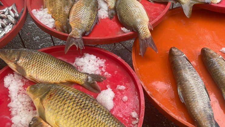 YASAK VAR AMA UYAN YOK