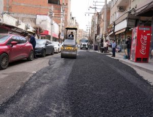 Köstebek Yuvaları Onarılıyor