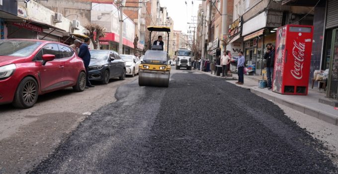 Köstebek Yuvaları Onarılıyor