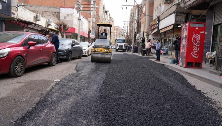 Köstebek Yuvaları Onarılıyor