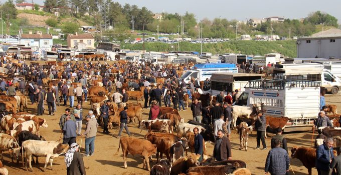 Diyarbakır Hayvan Borsası’nda Besicilerin Çilesi Bitmiyor