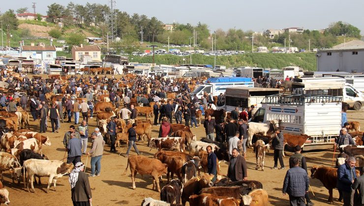 Diyarbakır Hayvan Borsası’nda Besicilerin Çilesi Bitmiyor