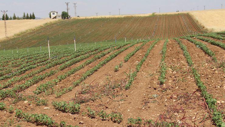 Yüksek Faturalar Çiftçiyi Üretimden Uzaklaştırıyor