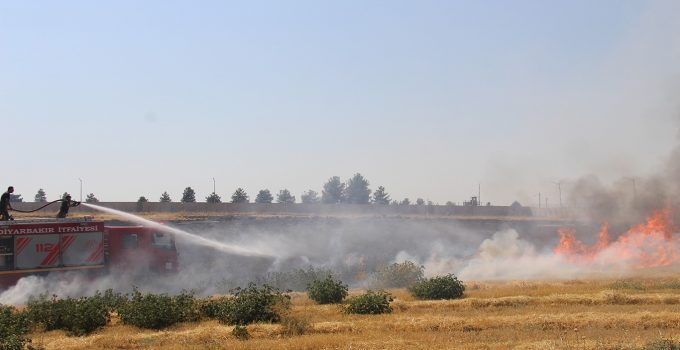 Diyarbakır’da Rüzgarın Etkisiyle Hızla Yayılan Anız Yangını Söndürüldü
