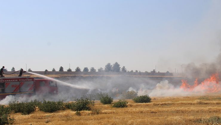 Diyarbakır’da Rüzgarın Etkisiyle Hızla Yayılan Anız Yangını Söndürüldü