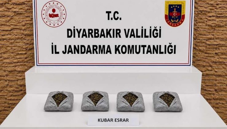 Diyarbakır’da 57 Bin Kök Keneviri Ele Geçirildi